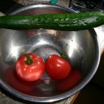 きゅうりとトマト きゅうりとトマト