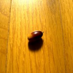 どんぐり どんぐり