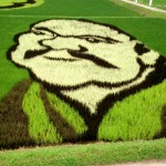 田んぼアート 田んぼアート