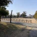 公園で散歩