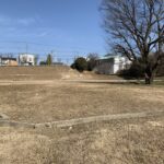 公園で散歩 公園で散歩