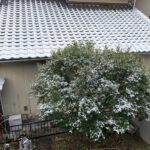 師走の雪 師走の雪